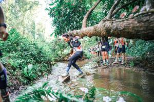 BIB: 
                            <button type="button" onclick="openModal(25515564)" class="btn btn-primary btn-sm float-right btn-popup" data-toggle="modal" data-target=".modal-high-quality">
                        <i class="fas fa-shopping-cart"></i> Add to Cart
                    </button>
                                            <button type="button" onclick="isThisMe(25515564, true)" class="btn btn-success btn-sm float-right btn-popup btn-isme hidden" data-toggle="tooltip" data-placement="bottom" title="นี่คือรูปของคุณใช่ไหม คลิกที่นี่เพื่อเอาเข้าอัลบั้ม">
                        <i class="fas fa-plus"></i> Add to album
                    </button>
                    <button type="button" onclick="isThisMe(25515564, false)" class="btn btn-warning btn-sm float-right btn-popup btn-isnotme hidden">
                        <i class="fas fa-ban"></i> Remove from album
                    </button>